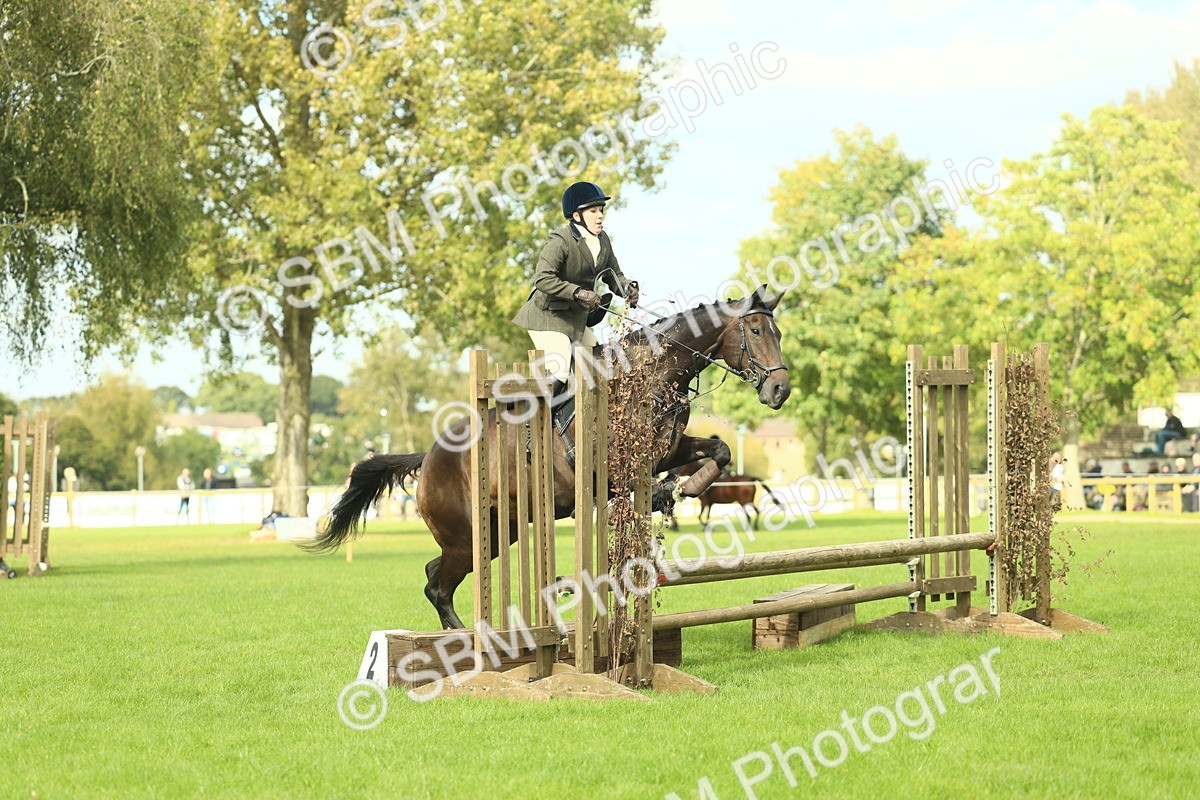 SBM_48012 - S32 - Novice & Newcomers Working Hunter