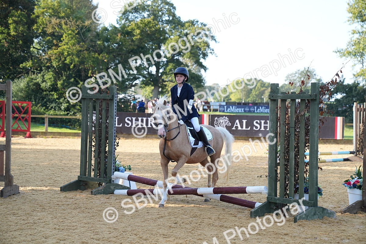 SBM_59073 - J63 - Minis Clear Round 30cm 40cm