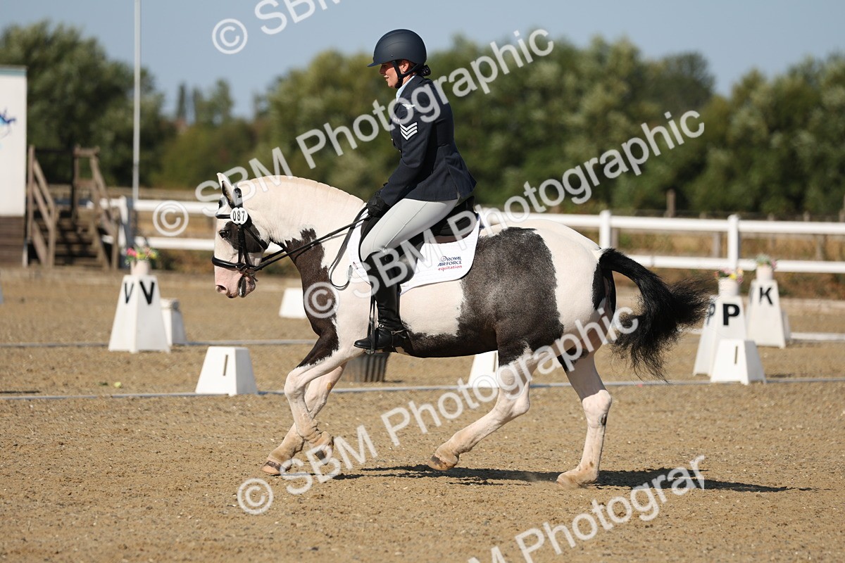 SBM_012725 - Class 1 - P5 Bronze 9.00.10.12