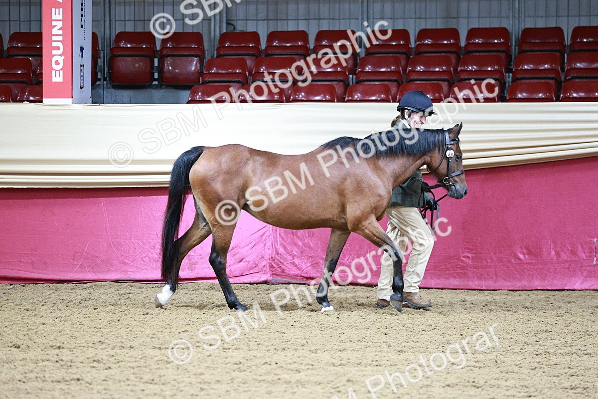SBM_00140 - Class 1A - Area IH Diamond