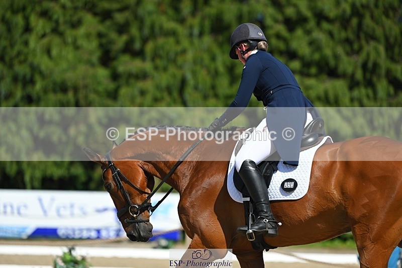 230526-160712-07274 - 253-MY_EASTWOOD_BRIGHTSIDE-Darcy_Zander-WEDTrotUp+DR