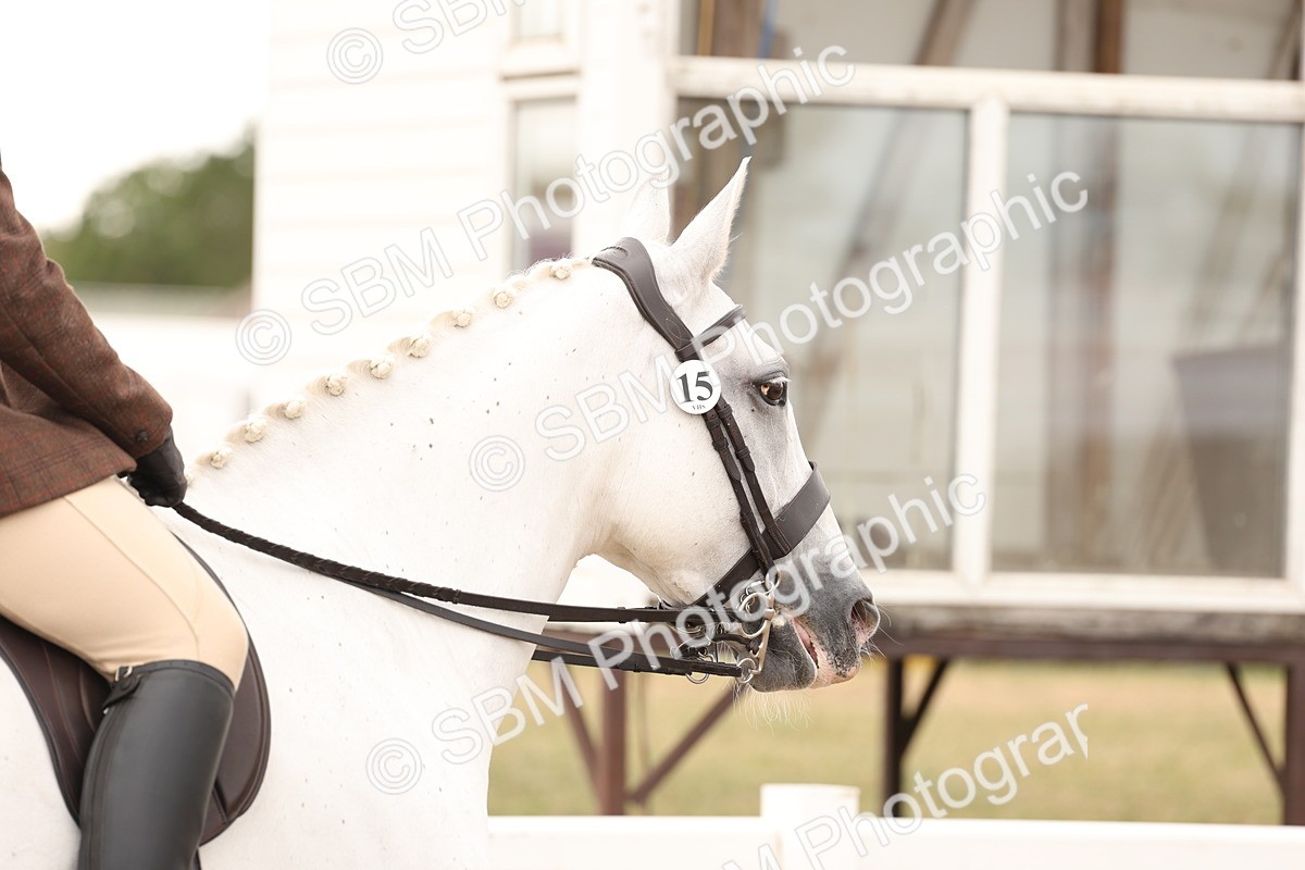 SBM_16460 - Class 212 - Ridden Hunter - Small