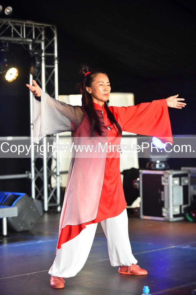 SH4_1503 - Tai Chi with Lisa Kay.