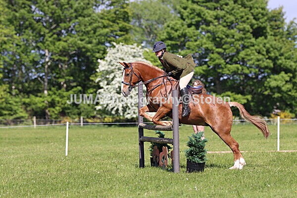 IMG_4882 - Working Hunter