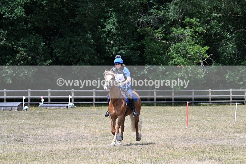 WJ7_0575 - 40cm Time 12:10 to 12:20