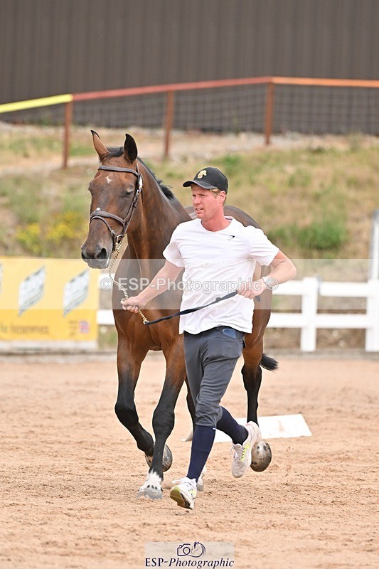 250716-151927-01869 - Trot Up 2.30 to 3.30