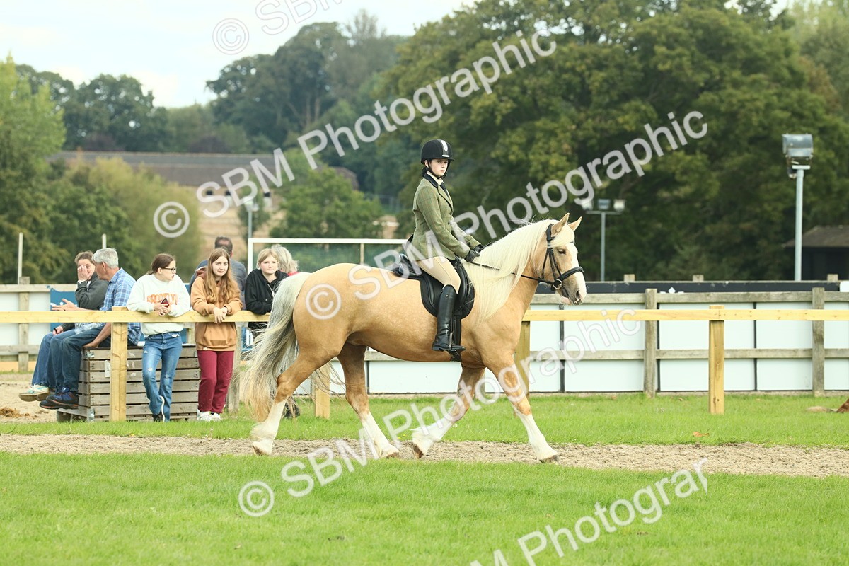 SBM_62642 - S63 - Other Coloured Horse Ridden