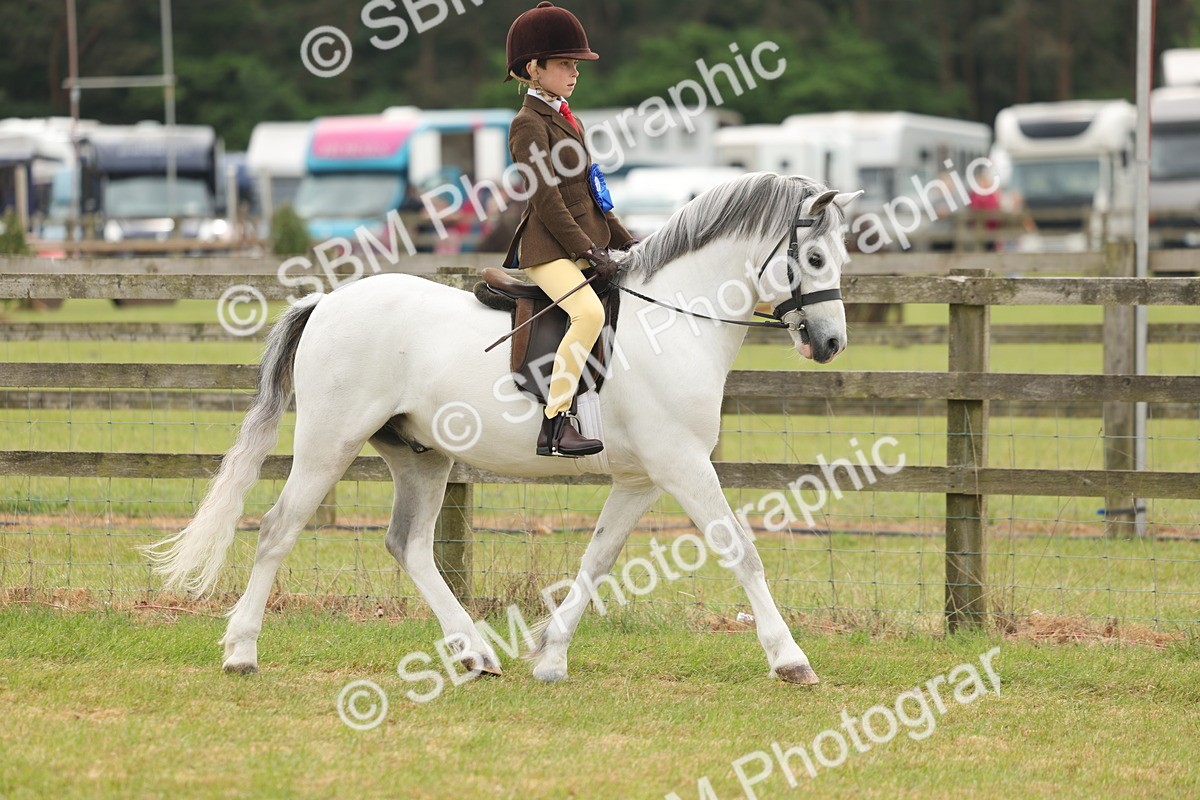 SBM_06921 - Class 74-75 - M&M Lead Rein and First Ridden Pony