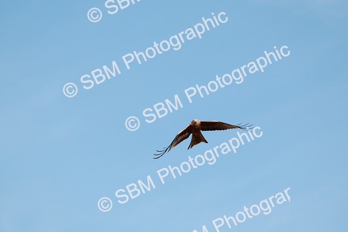 1I0A9474 - Class 7-8  - Elementary 1-PYO