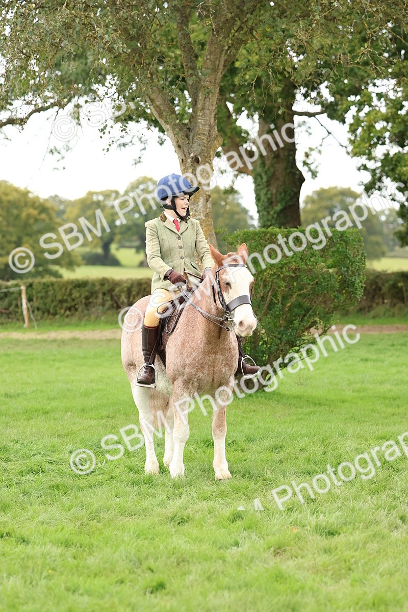 SBM_67554 - S60 - Mini Show Cob Ridden