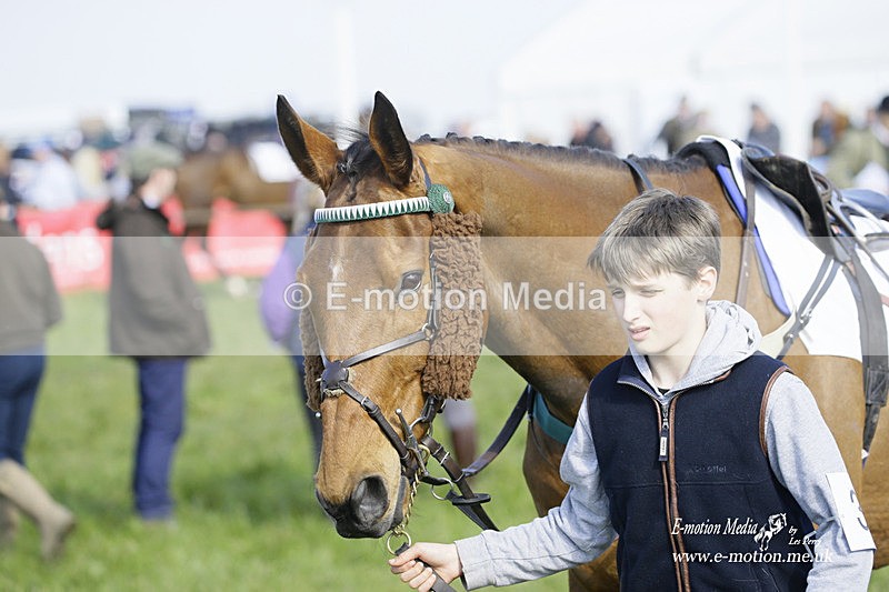 PtP 200322 271 - Mendip Farmers Point-to-Point 20/03/22