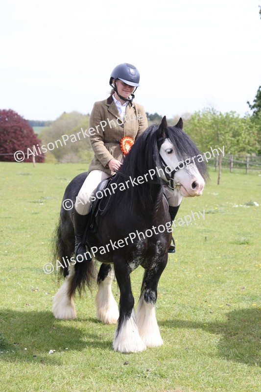 20260426-4025 - Class 33 - Best Pony 14.2hh and Under