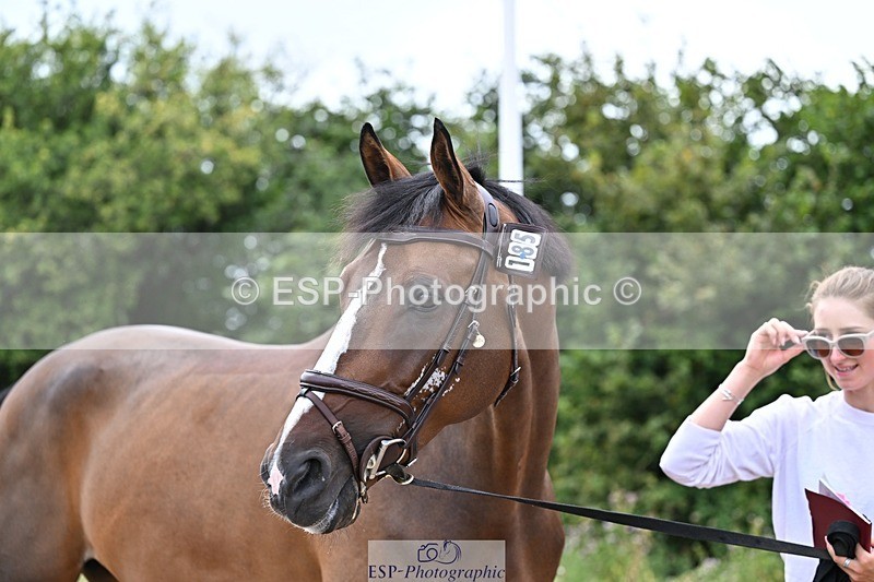 250716-135636-00711 - Trot Up 1.30 to 2.30