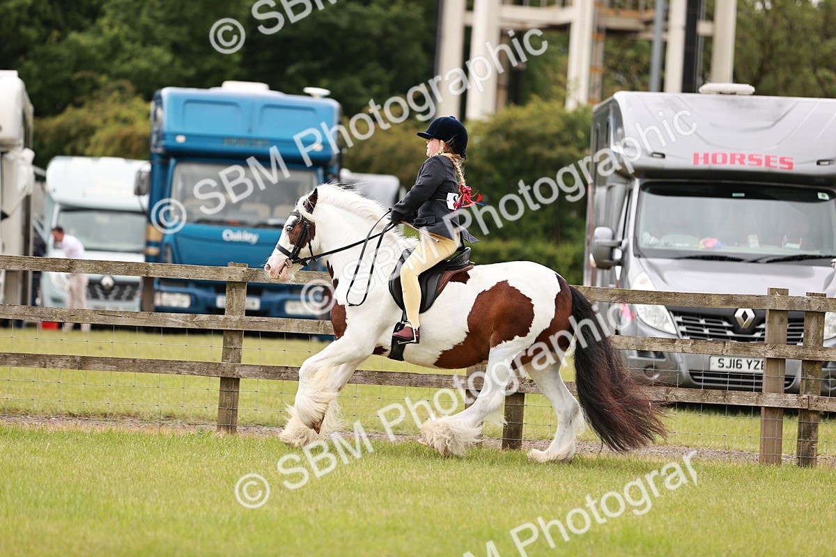 SBM_06148 - Class 39-41 TGCA In Hand and Ridden