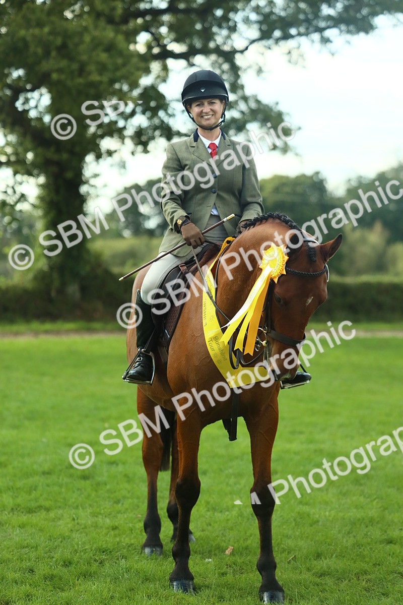 SBM_52213 - S33 - Working Hunter & Working Show Horse