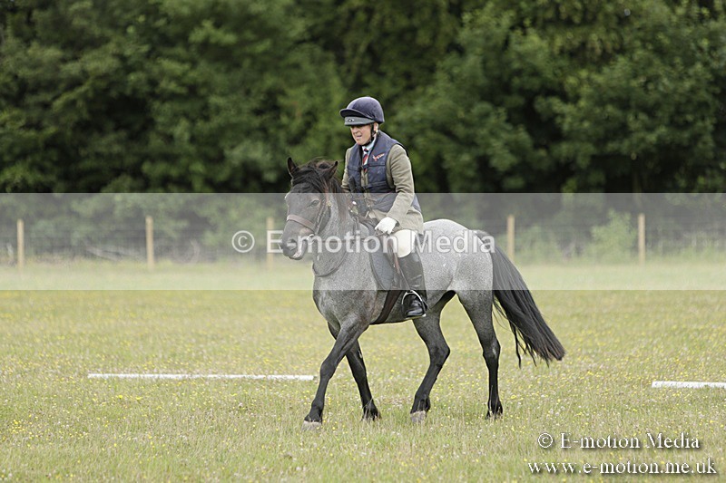 BVR160717-647 - Class 1 & 23a Dressage 16/07/17