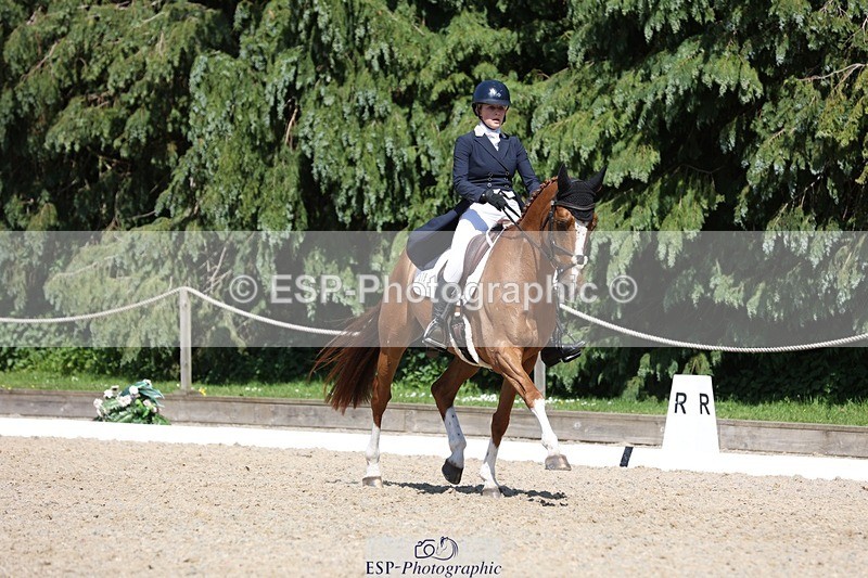 230526-150708-06631 - 378-CLASS_SPEC-Susie_Eddis-WEDTrotUp+DR