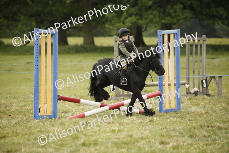 20250517-0864 - Class 2 - 30cm Off Lead Rein