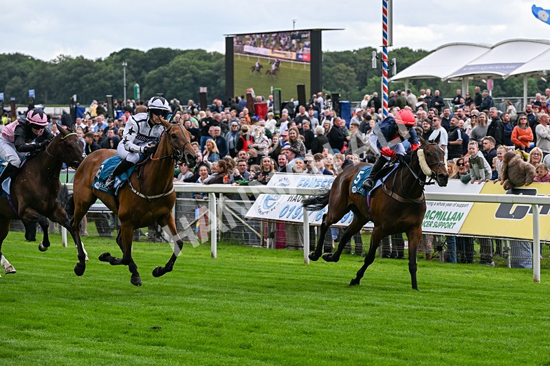 130626-Race 1-Dunkeld Dreamer-0537 - Race 1 13.50pm Queen Mother's Cup Handicap