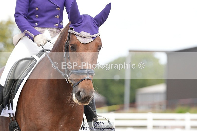 250906-131720-03576 - 017-Natalie.RosewarnePenpont.Fancy.That