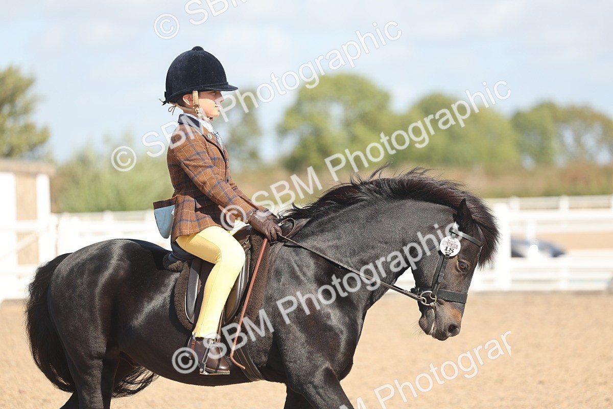 SBM_23084 - Class 806 - Young Rider 10ry and Under