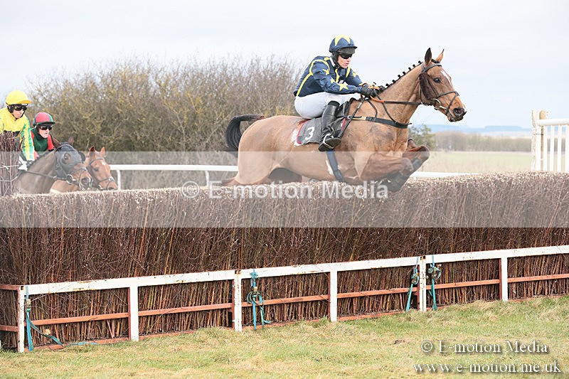 PtP 230119 50 - Royal Artillery Point-to-Point  - Larkhill  - 26/01/19