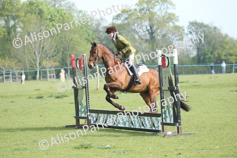 20260426-0082 - Class 13 - Rookie Jumping 50cm