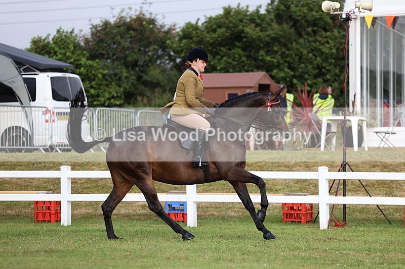 3E7A7836 - Class 1: Rising Star Small Hack/Riding Horses