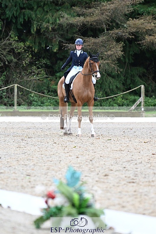 231019-130501-02935 - 049-AUGUSTUS.IMPERIOUS-Ines.Mitchell-DR