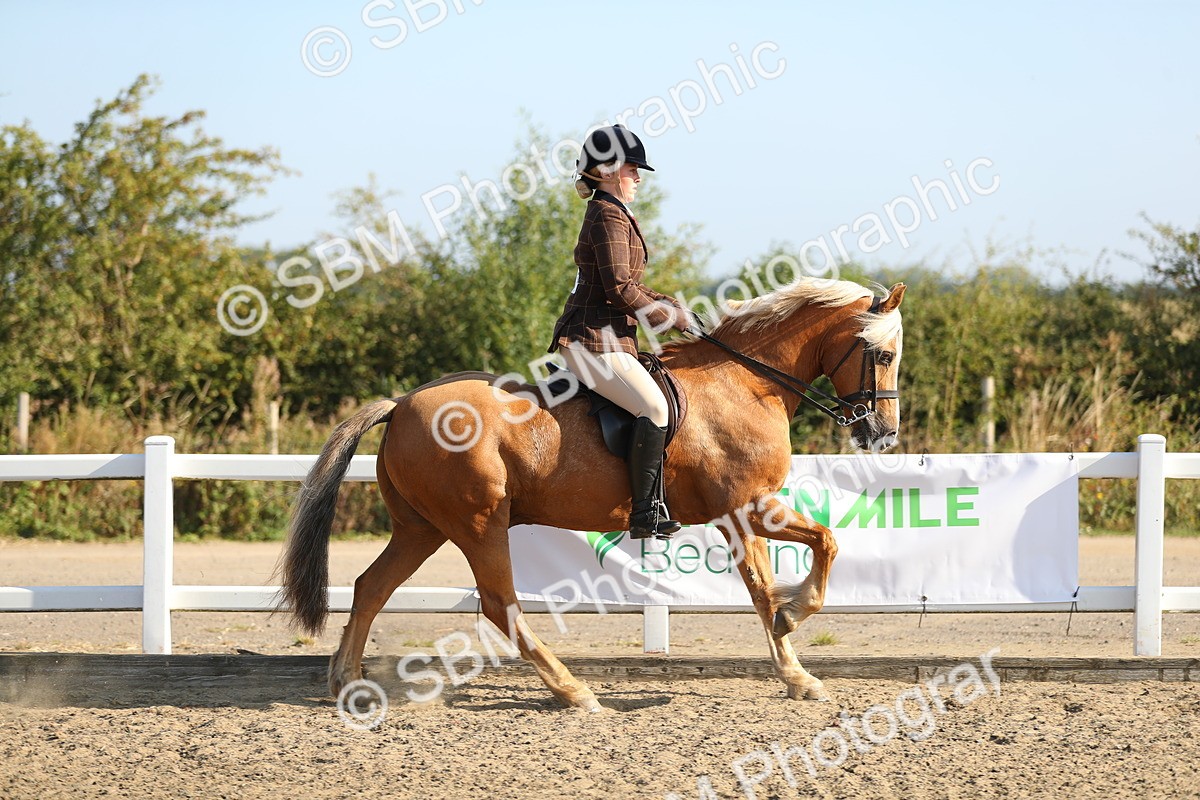SBM_01133 - Class 42 Ridden Veteran