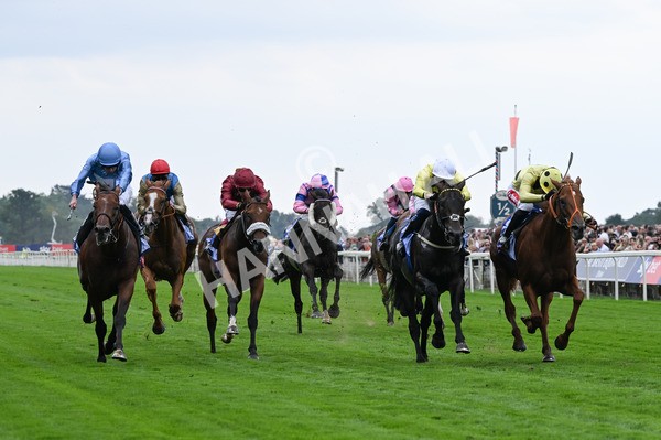 230825-001 King Of Cities - Race 1 1.50pm Sky Bet Strensall Stakes