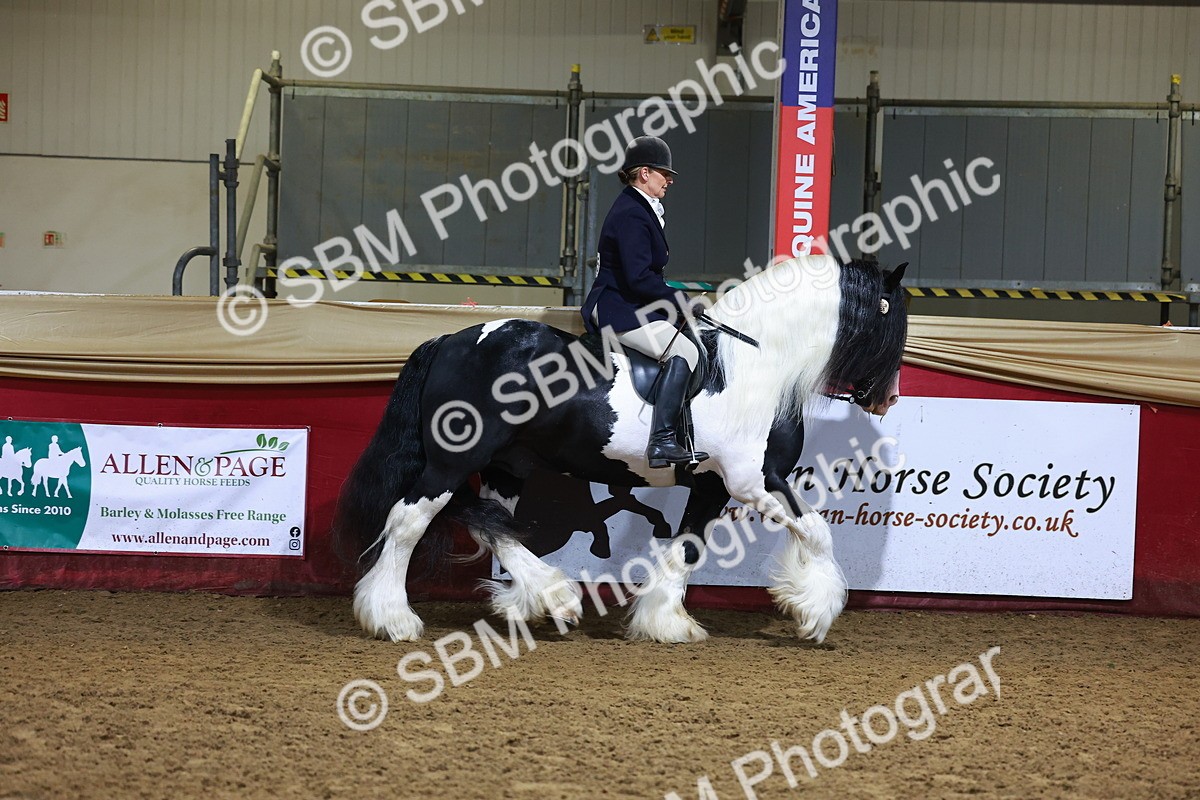 SBM_15383 - Class Q - Ridden Horse Champ