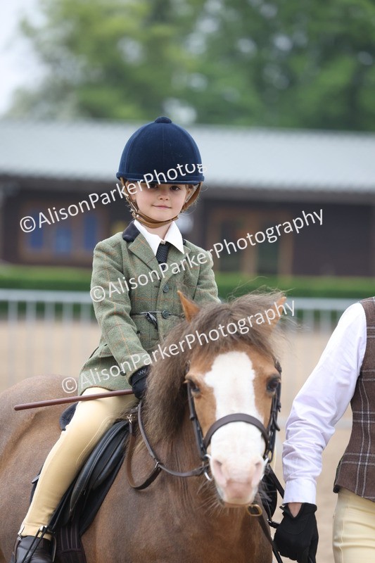 20260504-0106 - Class 9 - Lead Rein Pony