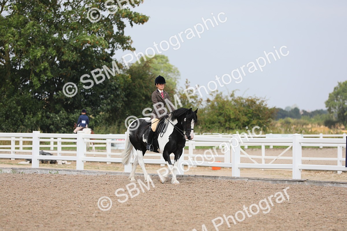 SBM_12658 - Class 307 Ridden Coloured Pony