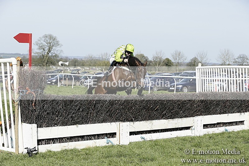 PtP 260317 281 - Mendip Farmers Point-to-Point Ston Easton 26/03/17