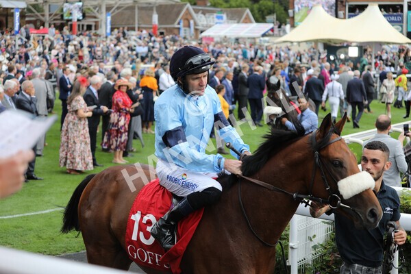 yr18082022r2-10 - Race 2 2.25pm Goffs UK Harry Beeby Premier Yearling Stakes