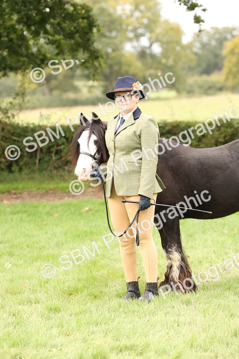 SBM_59318 - S57 - Traditional Cob In Hand