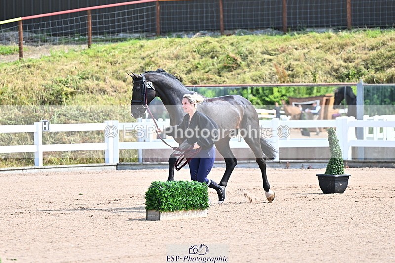 240718A-105237-00944 - Trot Up 11am to 12pm