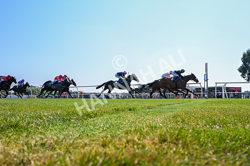 150726-Race 4-The Good Biscuit-4218 - Race 4 15.40pm Le Veinard 2026. Racing And Info Handicap
