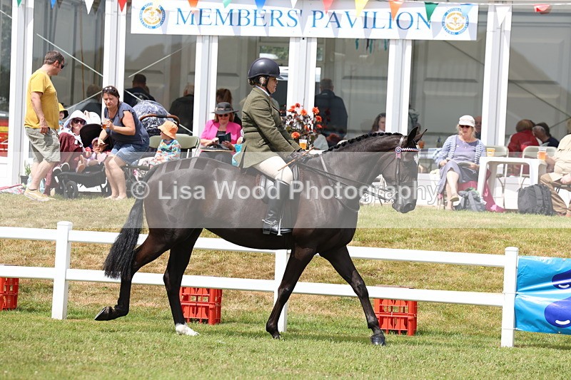 3E7A0784 - Class 8: Open Riding Horse/Hack