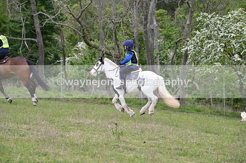 WJ6_1961 - Group 8 A&B Cameras