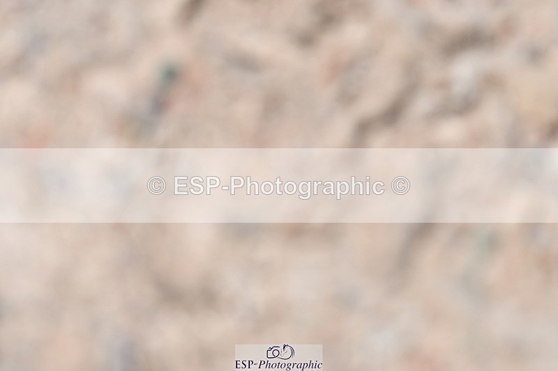 230520A-133443-01364 - Cls 6 Novice 30