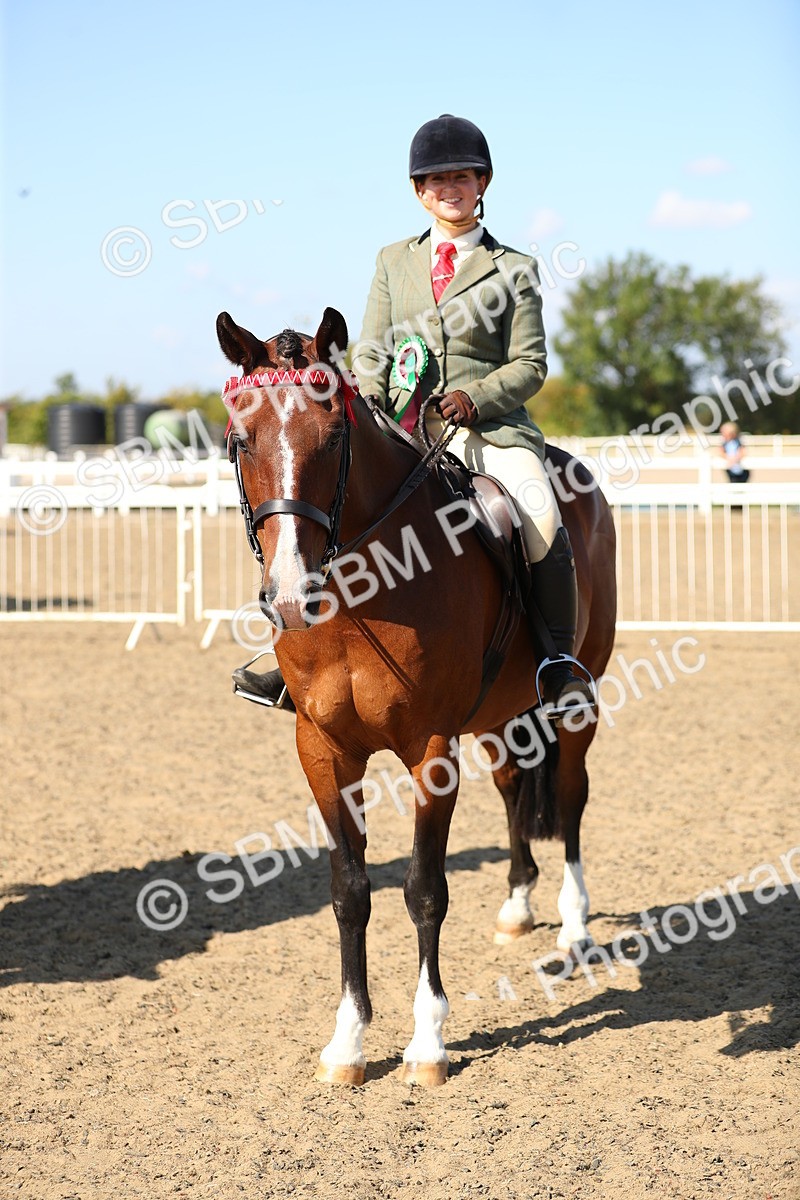SBM_02386 - Class 43 Ridden Competition Horse/Pony