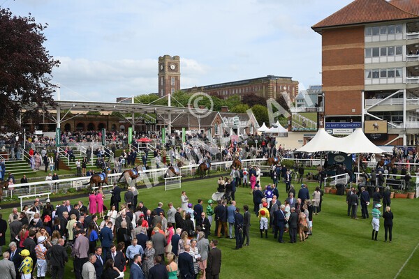 yr13052022r6-12 - Race 6 4.45pm Yorkshire Equine Practice Stakes
