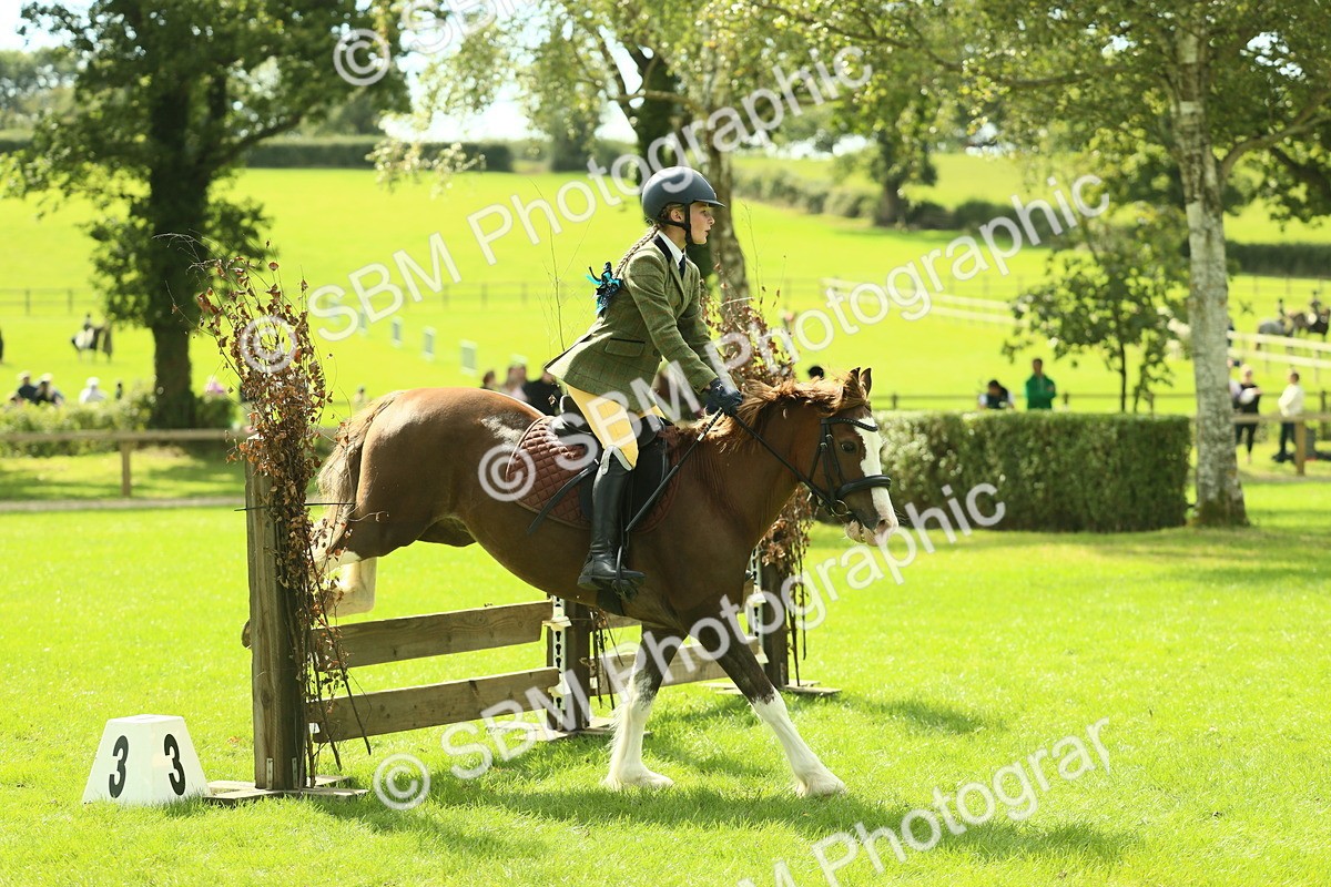 SBM_42838 - S30 - M&M Working hunter Pony