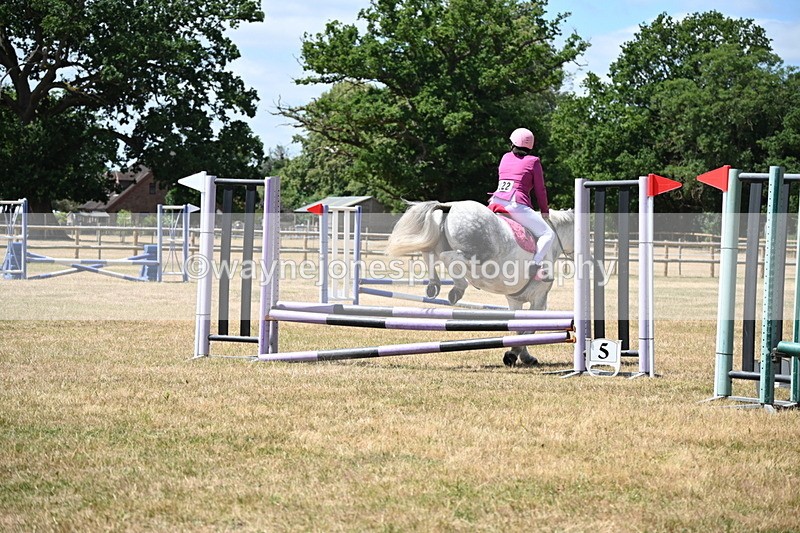 WJ6_5676 - Class 13 Novice 60cm