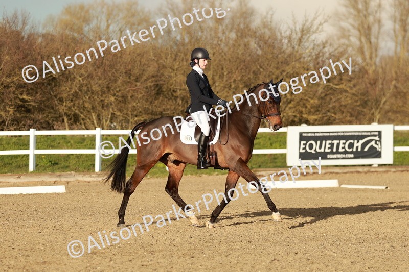 20260314-6363 - CT7 - Elementary 2