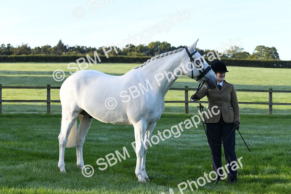 SBM_32739 - S15 - Condition & Turnout In Hand