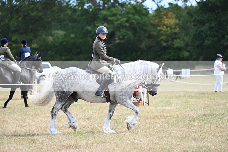 WJ7_5575 - Class 12 Ridden Cob