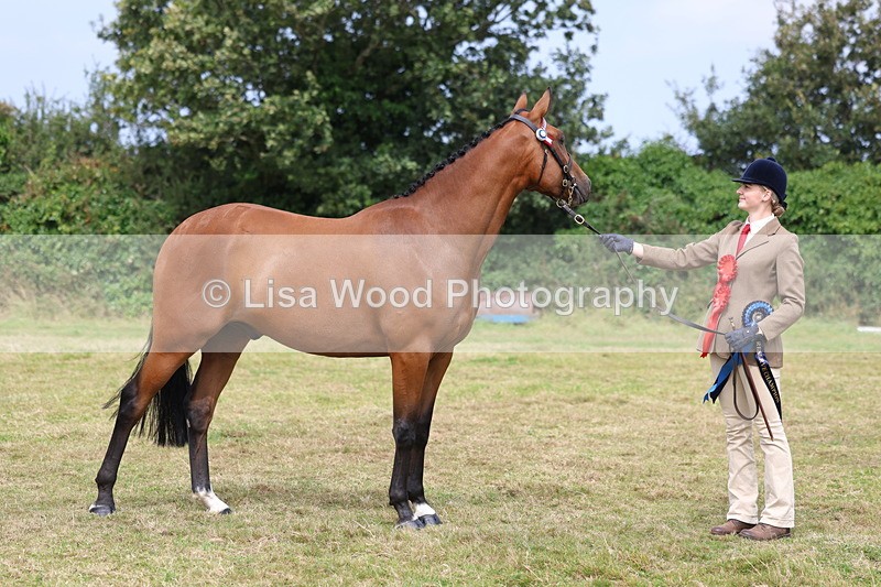 3E7A5718 - In Hand Championship